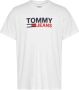 Tommy Hilfiger Grijze Biologisch Katoenen T-Shirt met Print Gray Heren - Thumbnail 2