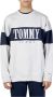 Tommy Jeans Sweatshirt in colour-blocking-design model 'REG AUTHENTIC BLOCK' - Thumbnail 8