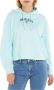 Tommy Jeans Tommy J Sweaters Light Blue Blauw Dames - Thumbnail 2