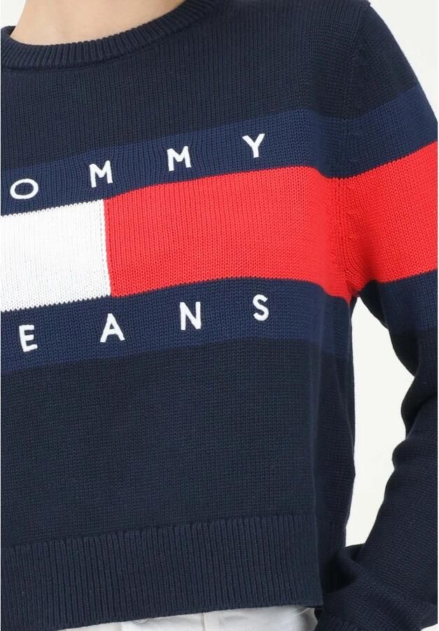 Tommy Jeans Curve Gebreide trui TJW CENTER FLAG SWEATER EXT