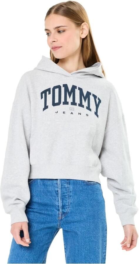 TOMMY JEANS Dames Truien & Vesten Tjw Vtg Varsity 1 Hoodie Lichtgrijs
