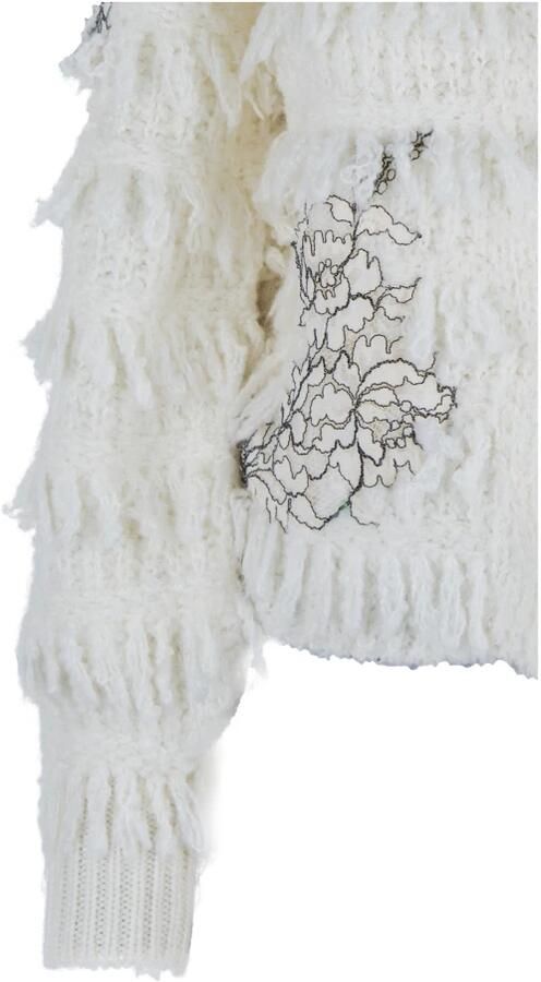 Twinset Gebreid jasje met franjes en kant Art. 232Tp3130 Beige Dames - Foto 9