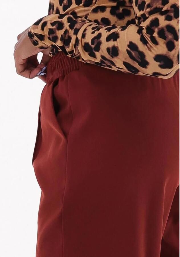 Ydence Bruine Pants Meta Damesbroek Brown Dames - Foto 2