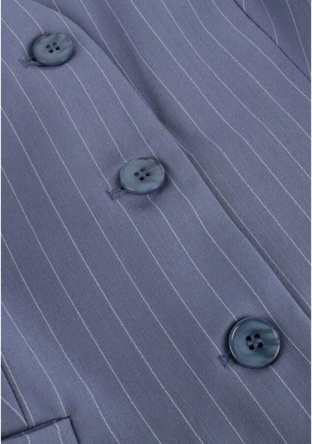 Ydence Gestreept Blauw Gilet Nadine Blue Dames
