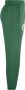 Nike Boston Celtics Spotlight Dri-FIT NBA-herenbroek Groen - Thumbnail 2