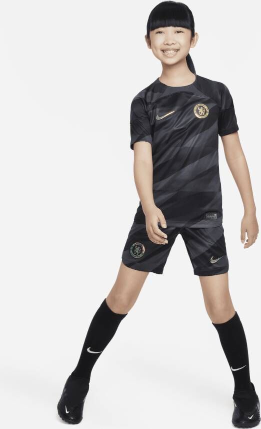 Nike Chelsea FC 2023 24 Stadium Goalkeeper Dri-FIT voetbalshirt met korte mouwen voor kids Grijs