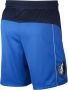 Nike Dallas Mavericks Icon Edition Swingman NBA-herenshorts Blauw - Thumbnail 2