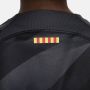 Nike FC Barcelona 2023 24 Stadium Goalkeeper Dri-FIT voetbalshirt voor kids Grijs - Thumbnail 5