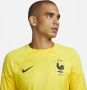 Nike FFF 2022 23 Stadium Goalkeeper Dri-FIT voetbalshirt voor heren Geel - Thumbnail 3
