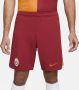 Nike Galatasaray 2023 24 Stadium Thuis Dri-FIT voetbalshirt voor heren Rood - Thumbnail 2
