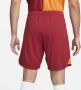 Nike Galatasaray 2023 24 Stadium Thuis Dri-FIT voetbalshirt voor heren Rood - Thumbnail 3
