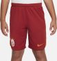 Nike Galatasaray 2023 24 Stadium Thuis Dri-FIT voetbalshorts voor kids Rood - Thumbnail 2