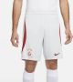 Nike Galatasaray 2023 24 Stadium Uit Dri-FIT voetbalshirt voor heren Grijs - Thumbnail 2
