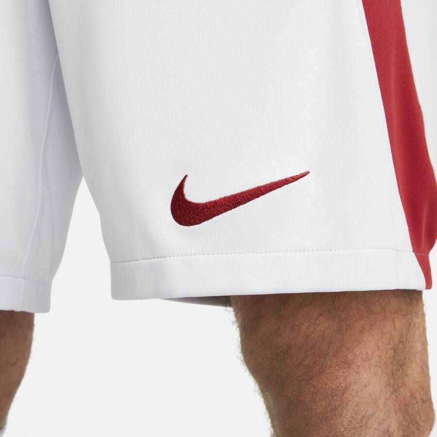 Nike Galatasaray 2023 24 Stadium Uit Dri-FIT voetbalshirt voor heren Grijs