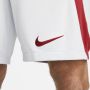 Nike Galatasaray 2023 24 Stadium Uit Dri-FIT voetbalshirt voor heren Grijs - Thumbnail 4