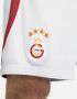 Nike Galatasaray 2023 24 Stadium Uit Dri-FIT voetbalshirt voor heren Grijs - Thumbnail 5