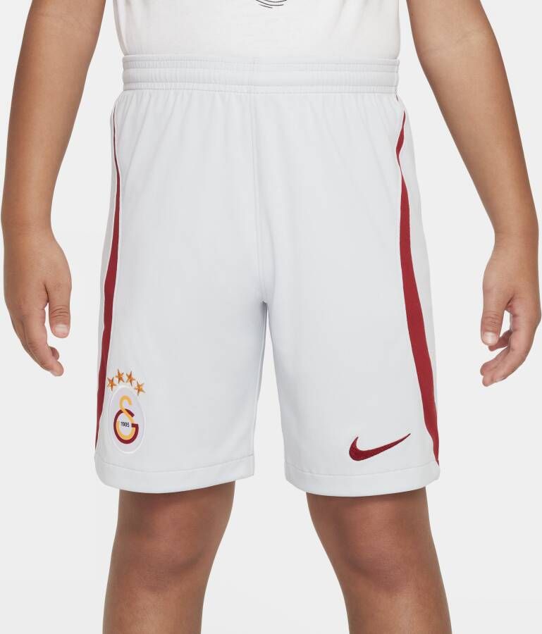 Nike Galatasaray 2023 24 Stadium Uit Dri-FIT voetbalshirt voor kids Grijs