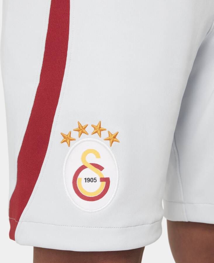 Nike Galatasaray 2023 24 Stadium Uit Dri-FIT voetbalshirt voor kids Grijs