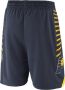 Nike Indiana Pacers Icon Edition Swingman NBA-herenshorts Blauw - Thumbnail 2