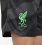 Nike Liverpool FC 2023 24 Stadium Goalkeeper Dri-FIT voetbalshorts voor kids Grijs - Thumbnail 4