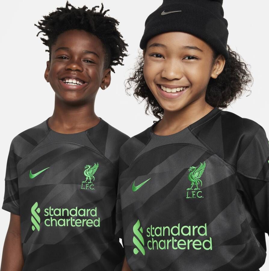 Nike Liverpool FC 2023 24 Stadium Goalkeeper Dri-FIT voetbalshirt met korte mouwen voor kids Grijs