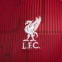Nike Liverpool FC Academy Pro Dri-FIT warming-uptop voor heren Rood - Thumbnail 5