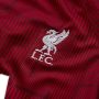Nike Liverpool FC Academy Pro warming-uptop met Dri-FIT voor kids Rood - Thumbnail 5