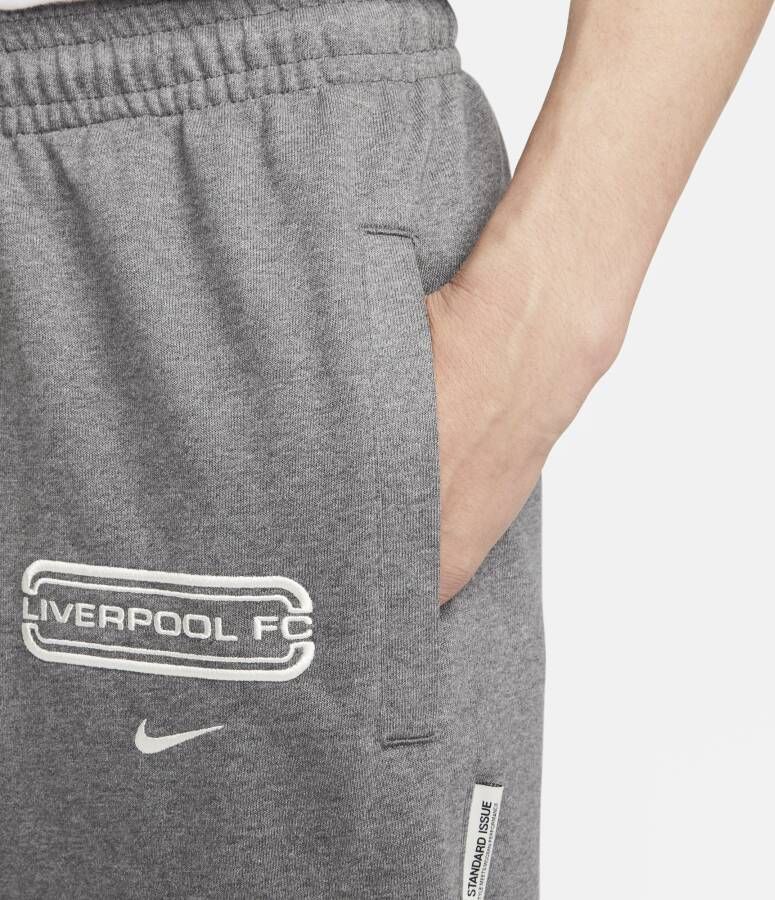 Nike Liverpool FC Standard Issue voetbalbroek voor heren Grijs