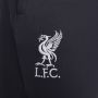 Nike Liverpool FC Strike Derde Dri-FIT knit voetbalbroek voor heren Grijs - Thumbnail 5