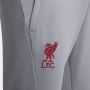 Nike Liverpool Strike Dri-FIT voetbalbroek voor heren Grijs - Thumbnail 4