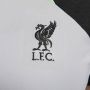 Nike Liverpool FC Strike Dri-FIT knit voetbaltop voor dames Grijs - Thumbnail 4