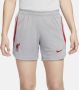 Nike Liverpool FC Strike knit voetbalshorts met Dri-FIT voor dames Grijs - Thumbnail 2