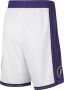 Nike Los Angeles Lakers City Edition Swingman NBA-herenshorts met Dri-FIT Wit - Thumbnail 2