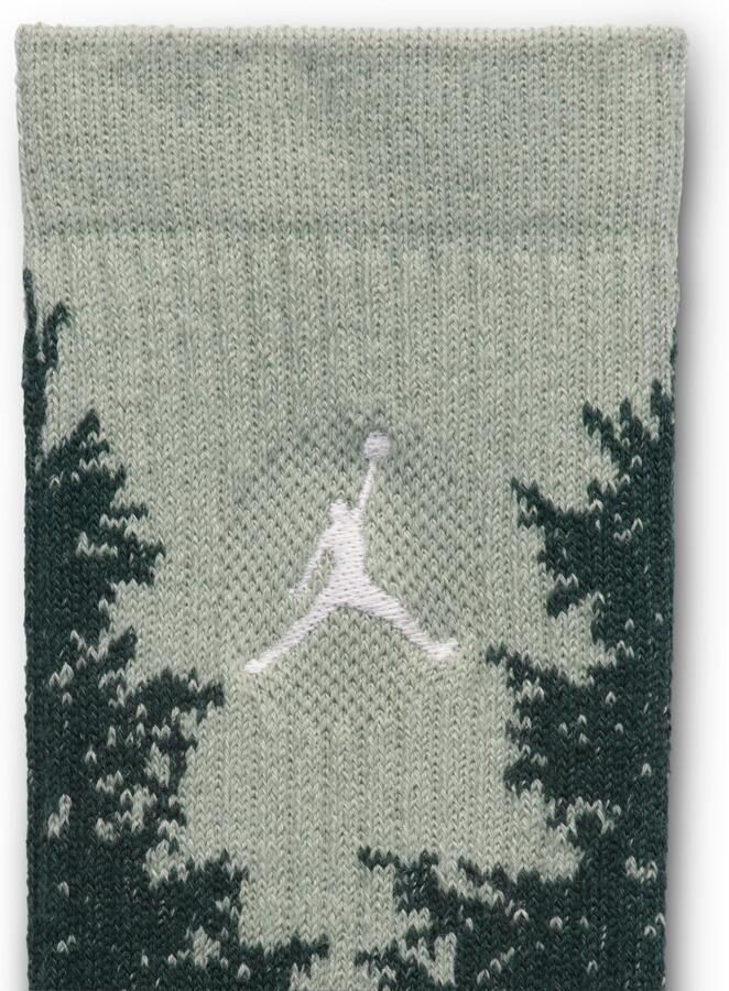 Jordan Everyday crew sokken (1 paar) Groen