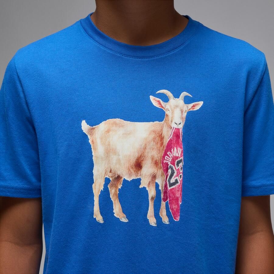 Jordan Flight Goat T-shirt voor kids Blauw - Foto 3
