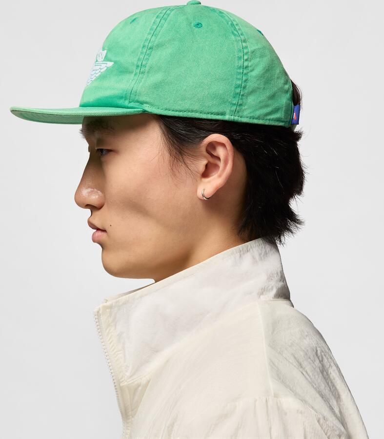 Jordan Pro Rare Air ongestructureerde pet Groen - Foto 3