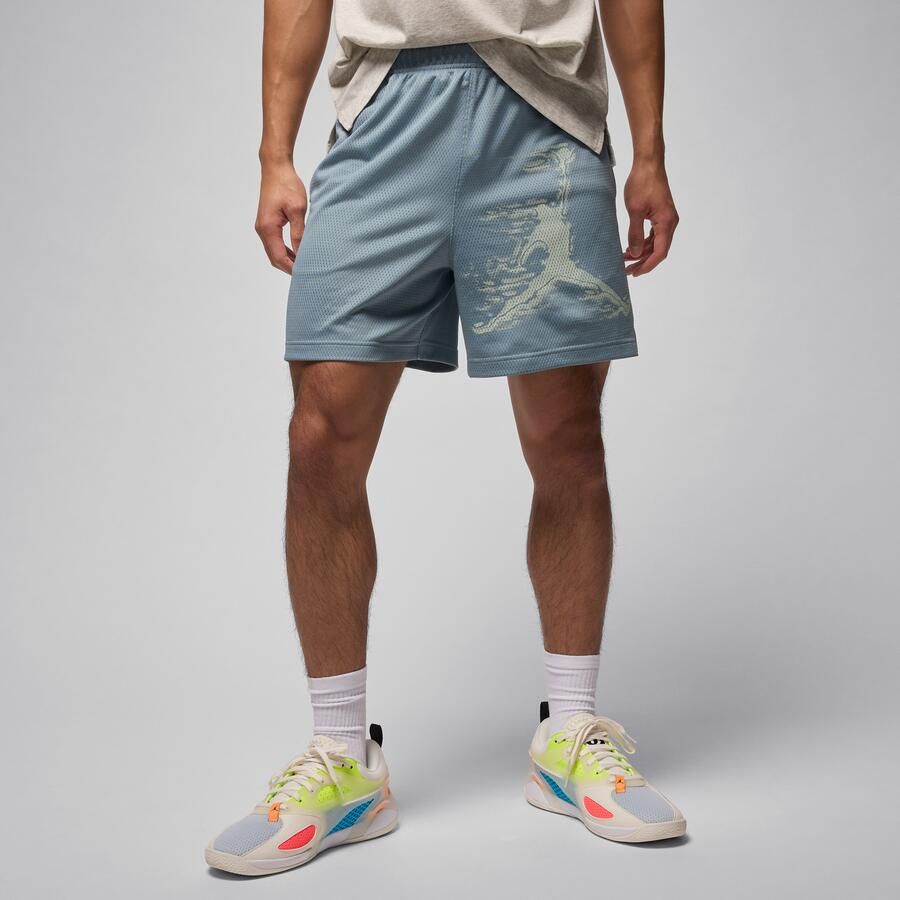 Jordan Sport Dri-FIT herenshorts met graphic Grijs - Foto 4