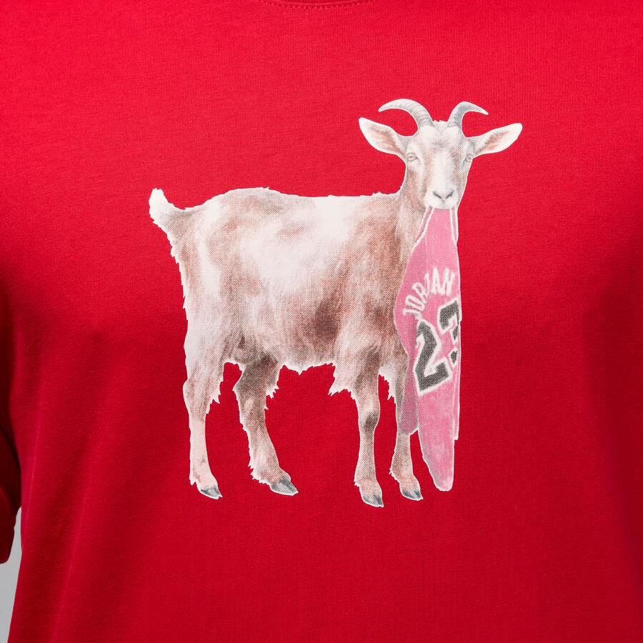 Jordan T-shirt voor heren Rood - Foto 3