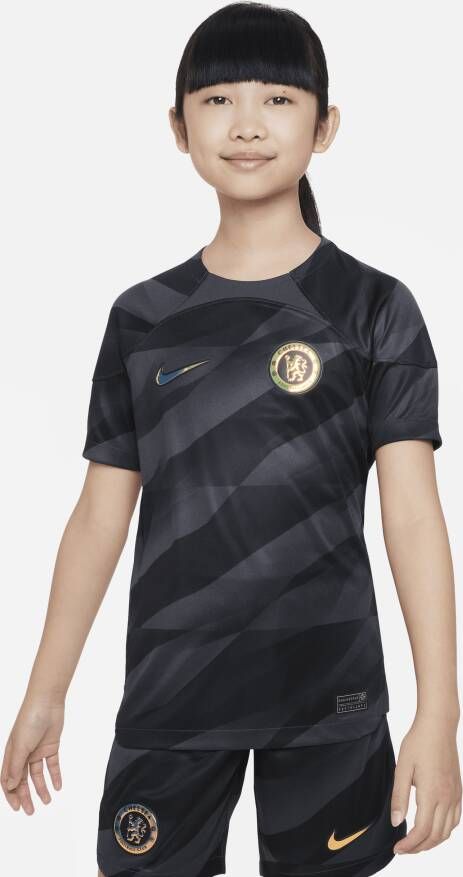 Nike Chelsea FC 2023 24 Stadium Goalkeeper Dri-FIT voetbalshirt met korte mouwen voor kids Grijs