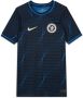 Nike Chelsea FC 2023 24 Stadium Uit Dri-FIT voetbalshirt voor kids Blauw - Thumbnail 1