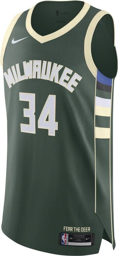 Nike Giannis Antetokounmpo Bucks Icon Edition 2020 Authentic NBA-jersey voor heren Groen