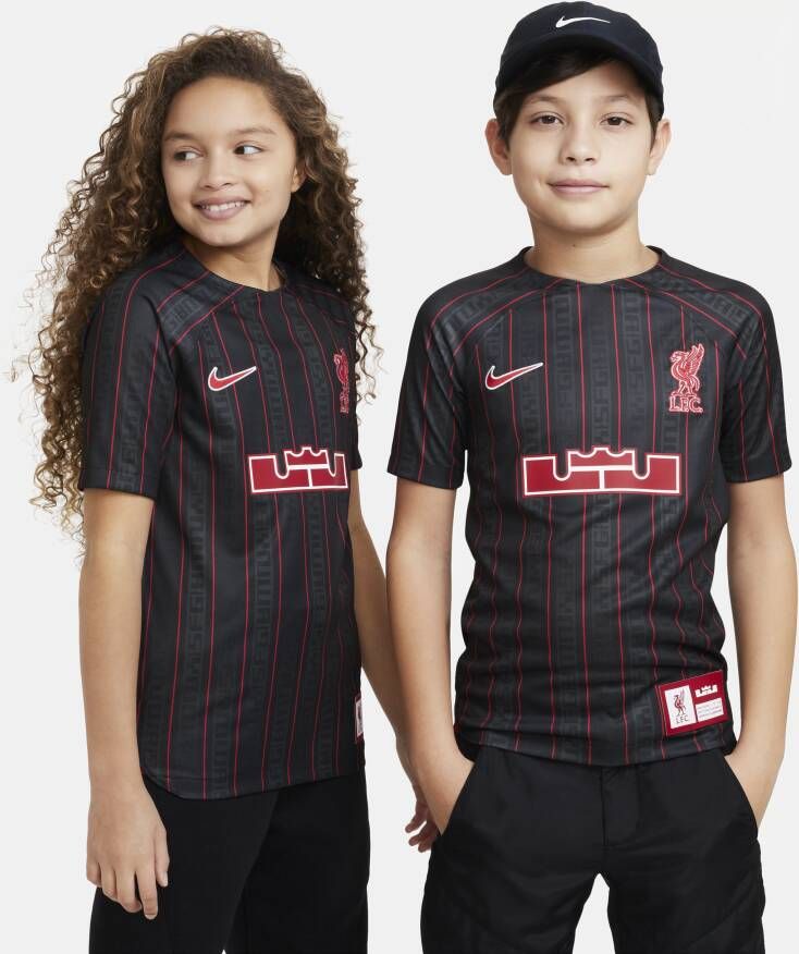 Nike LeBron x Liverpool FC Dri-FIT Stadium voetbalshirt voor kids Grijs