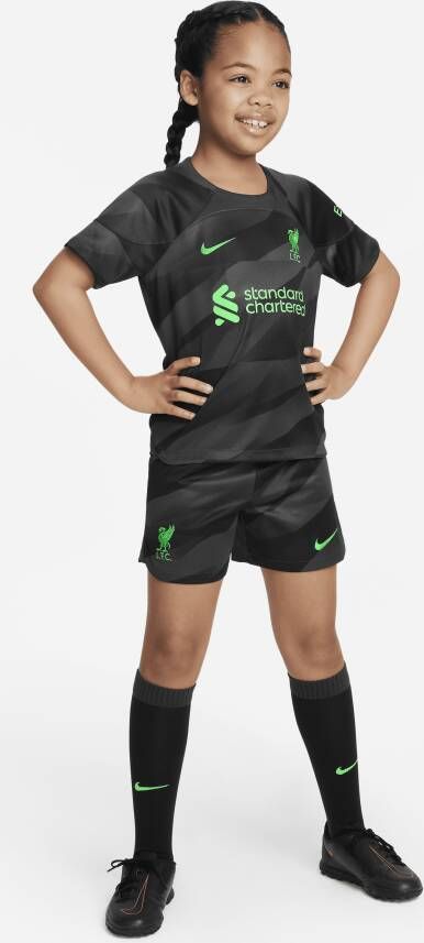 Nike Liverpool FC 2023 24 Goalkeeper Dri-FIT driedelig tenue voor kleuters Grijs