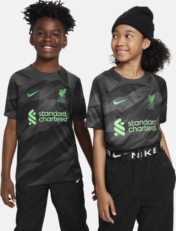 Nike Liverpool FC 2023 24 Stadium Goalkeeper Dri-FIT voetbalshirt met korte mouwen voor kids Grijs