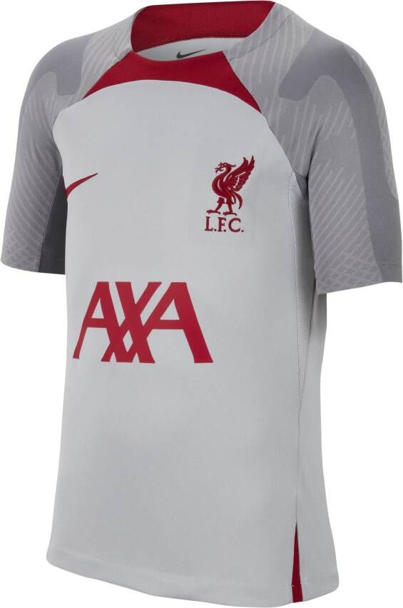 Nike Liverpool FC Strike Dri-FIT knit voetbaltop voor kids Grijs