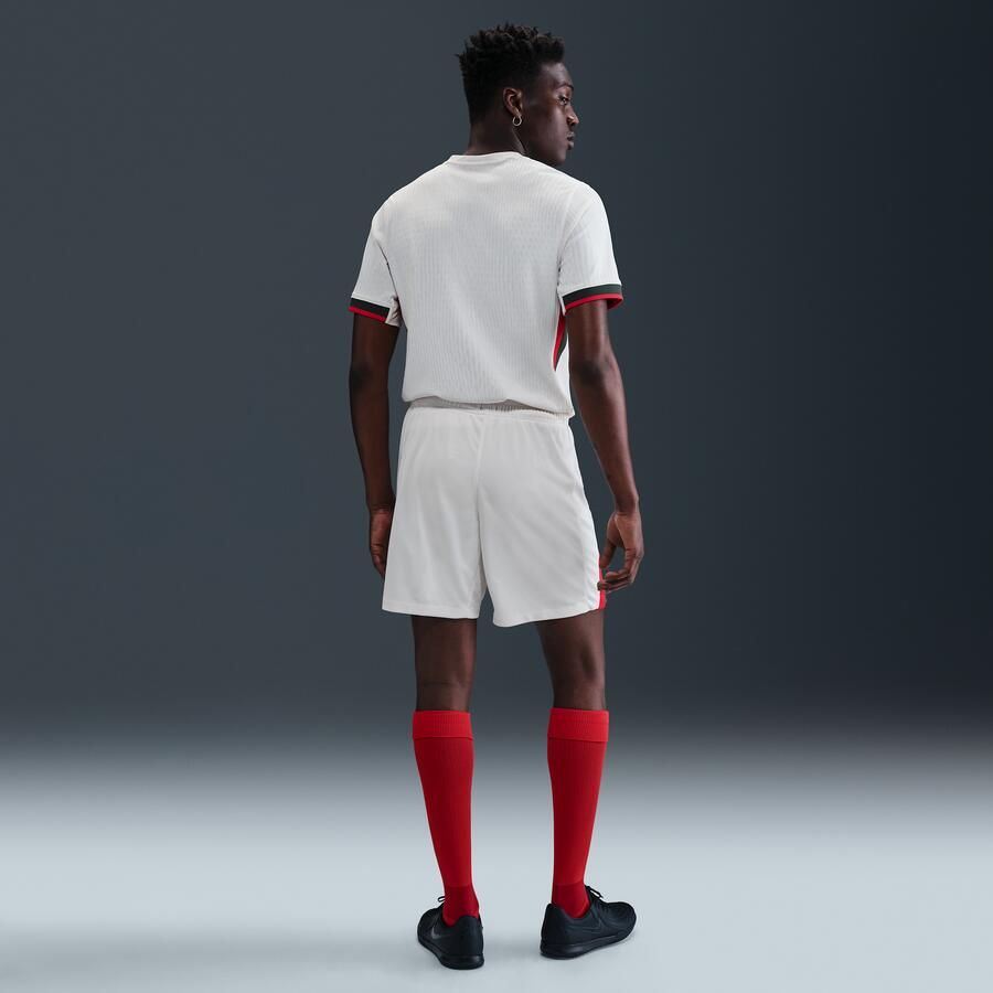 Nike Chelsea FC 2025 26 Stadium Uit Dri-FIT replicavoetbalshorts voor heren Grijs - Foto 3