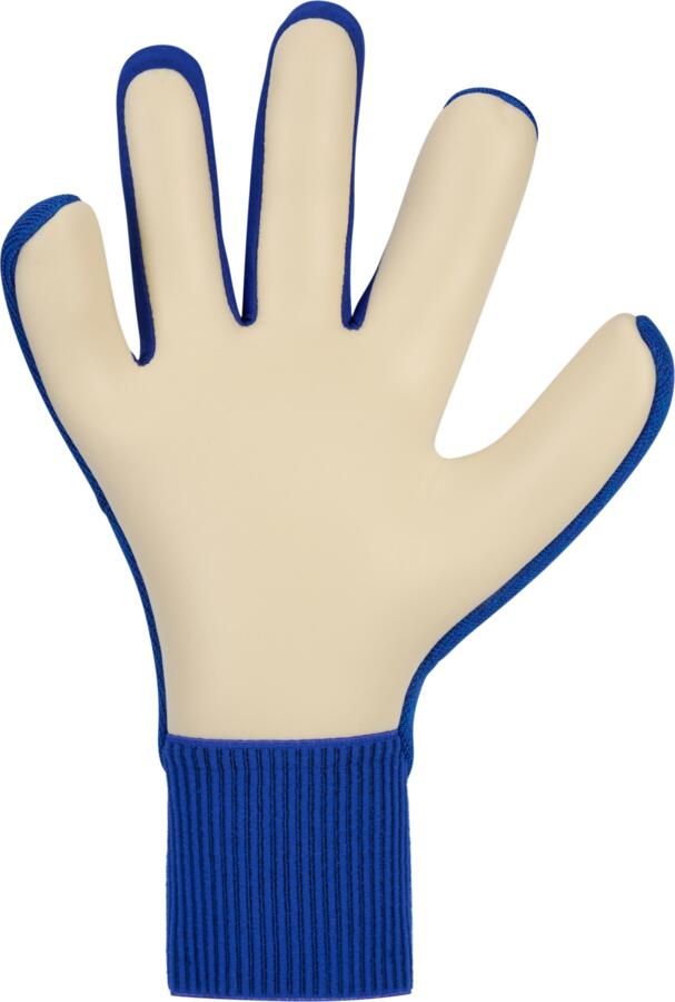 Nike Dynamic Fit keepershandschoenen Blauw
