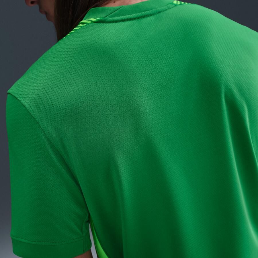 Nike Engeland 2025 26 Stadium Goalkeeper Dri-FIT replicavoetbalshirt met korte mouwen voor heren Groen