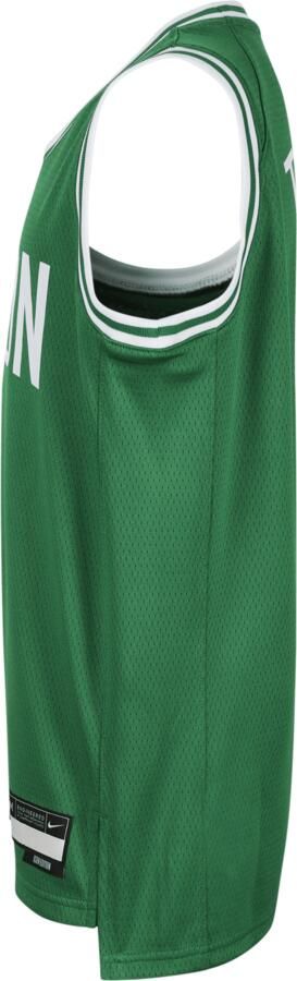Nike Jayson Tatum Boston Celtics 2023 24 Icon Edition Swingman NBA-jersey voor kids Groen - Foto 2
