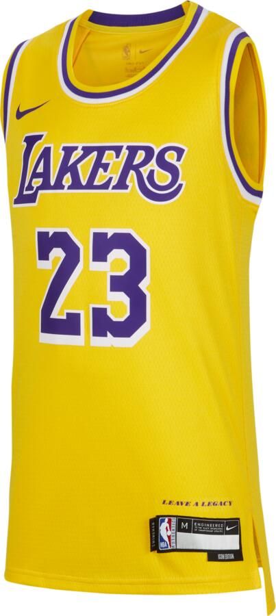 Nike LeBron James Los Angeles Lakers 2023 24 Icon Edition Swingman NBA-jersey voor jongens Geel
